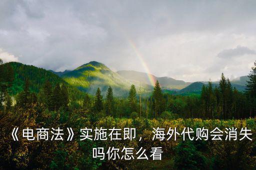 《電商法》實施在即，海外代購會消失嗎你怎么看