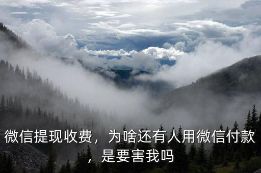 微信提現(xiàn)收費(fèi)，為啥還有人用微信付款，是要害我嗎