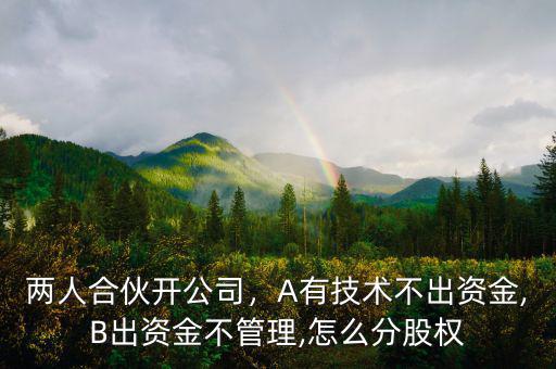 兩人合伙開公司，A有技術(shù)不出資金,B出資金不管理,怎么分股權(quán)