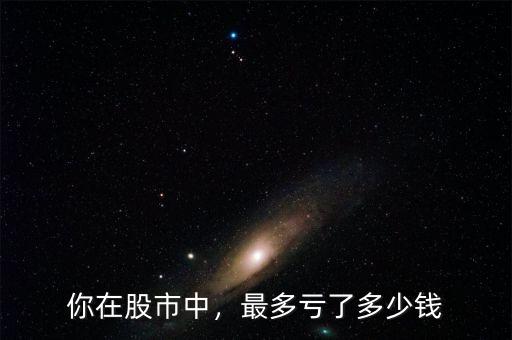 你在股市中，最多虧了多少錢