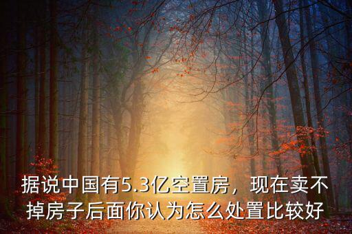 據(jù)說(shuō)中國(guó)有5.3億空置房，現(xiàn)在賣(mài)不掉房子后面你認(rèn)為怎么處置比較好