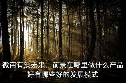 微商有沒未來，前景在哪里做什么產(chǎn)品好有哪些好的發(fā)展模式