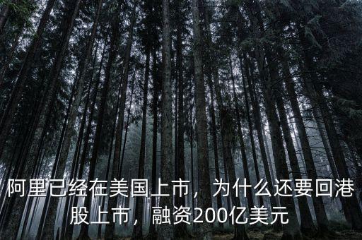 阿里已經在美國上市，為什么還要回港股上市，融資200億美元