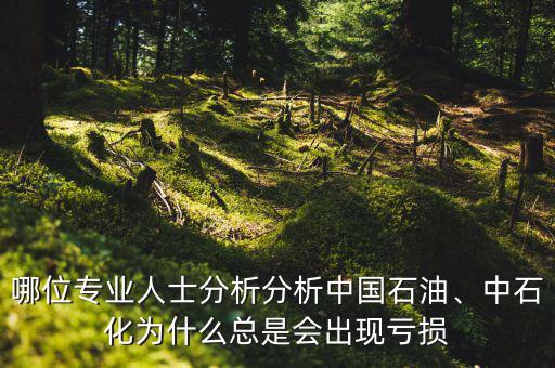 哪位專業(yè)人士分析分析中國石油、中石化為什么總是會出現(xiàn)虧損
