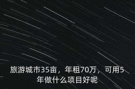 旅游城市35畝，年租70萬，可用5年做什么項目好呢