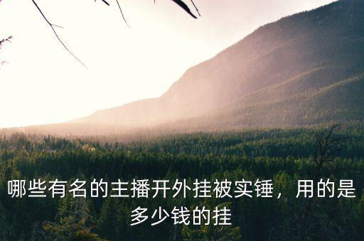 哪些有名的主播開外掛被實(shí)錘，用的是多少錢的掛