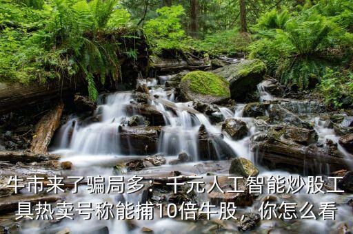 牛市來了騙局多：千元人工智能炒股工具熱賣號稱能捕10倍牛股，你怎么看