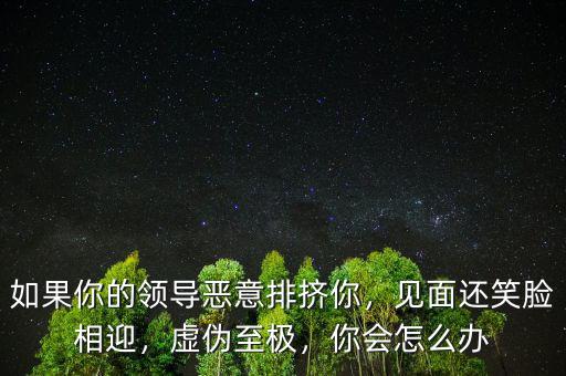如果你的領(lǐng)導(dǎo)惡意排擠你，見面還笑臉相迎，虛偽至極，你會怎么辦