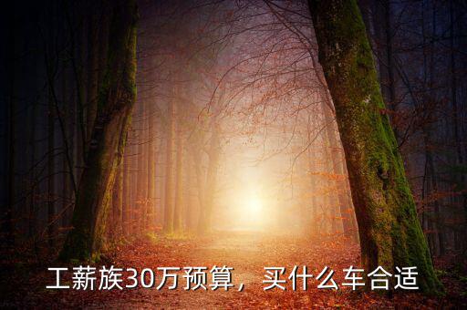 工薪族30萬預算，買什么車合適