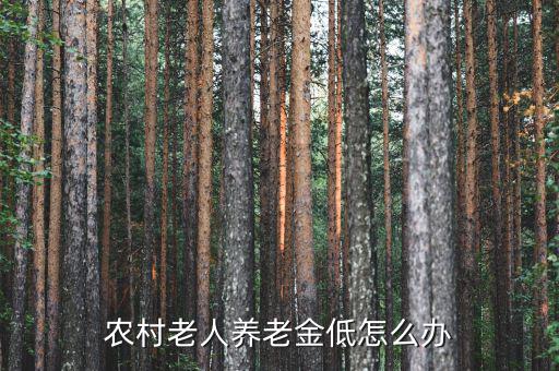 農村老人養(yǎng)老金低怎么辦
