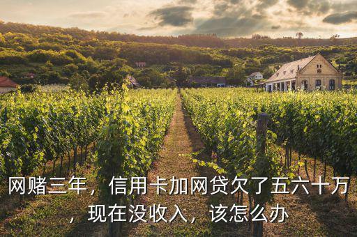 網(wǎng)賭三年，信用卡加網(wǎng)貸欠了五六十萬，現(xiàn)在沒收入，該怎么辦