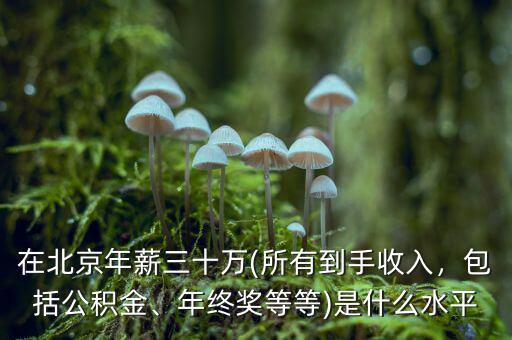 在北京年薪三十萬(所有到手收入，包括公積金、年終獎等等)是什么水平