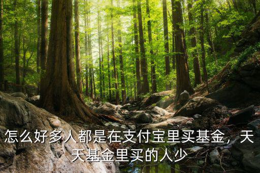 怎么好多人都是在支付寶里買基金，天天基金里買的人少