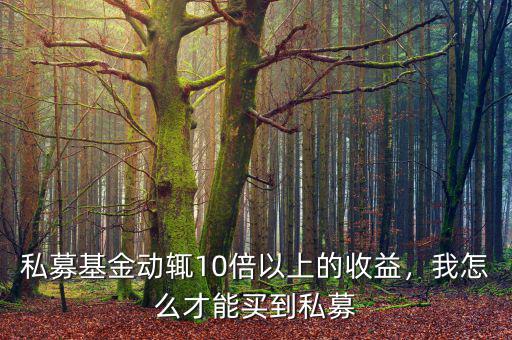 私募基金怎么購(gòu)買(mǎi),私募基金怎么買(mǎi)比較安全