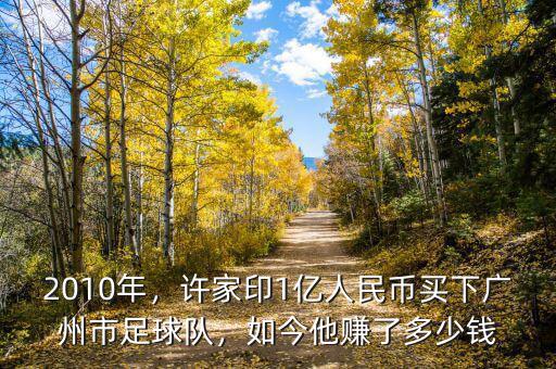 2010年，許家印1億人民幣買下廣州市足球隊(duì)，如今他賺了多少錢
