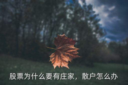 股票為什么要有莊家，散戶怎么辦