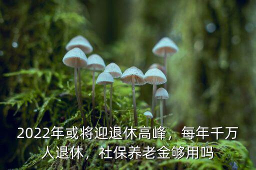 2022年或?qū)⒂诵莞叻?，每年千萬人退休，社保養(yǎng)老金夠用嗎