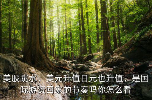 美股跳水，美元升值日元也升值，是國際游資回家的節(jié)奏嗎你怎么看