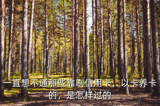 一直想不通那些靠刷信用卡，以卡養(yǎng)卡的，是怎樣過的