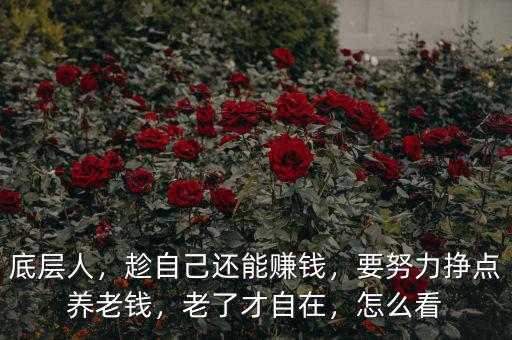 底層人，趁自己還能賺錢，要努力掙點養(yǎng)老錢，老了才自在，怎么看