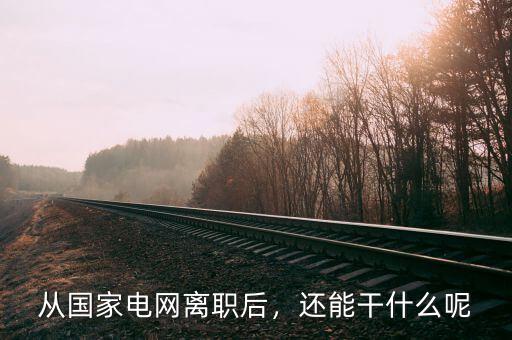 從國家電網(wǎng)離職后，還能干什么呢