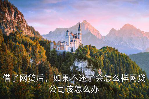借了網(wǎng)貸后，如果不還了會怎么樣網(wǎng)貸公司該怎么辦