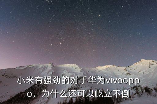 小米有強(qiáng)勁的對手華為vivooppo，為什么還可以屹立不倒