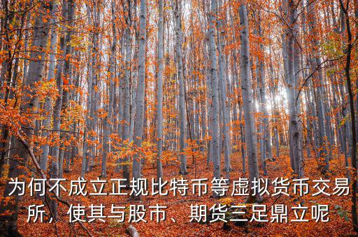為何不成立正規(guī)比特幣等虛擬貨幣交易所，使其與股市、期貨三足鼎立呢