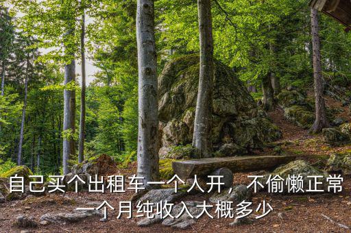 自己買個(gè)出租車一個(gè)人開，不偷懶正常一個(gè)月純收入大概多少