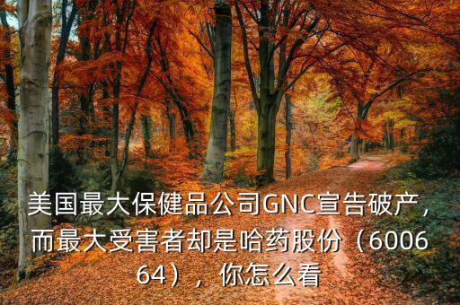 美國(guó)最大保健品公司GNC宣告破產(chǎn)，而最大受害者卻是哈藥股份（600664），你怎么看