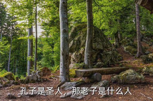 孔子是圣人，那老子是什么人