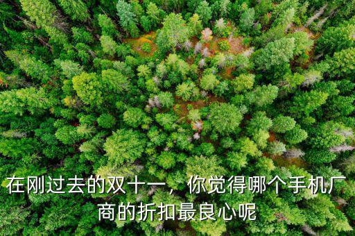 在剛過(guò)去的雙十一，你覺(jué)得哪個(gè)手機(jī)廠商的折扣最良心呢