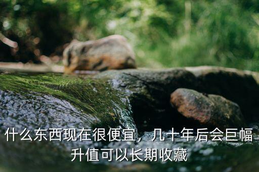 什么東西現(xiàn)在很便宜，幾十年后會巨幅升值可以長期收藏