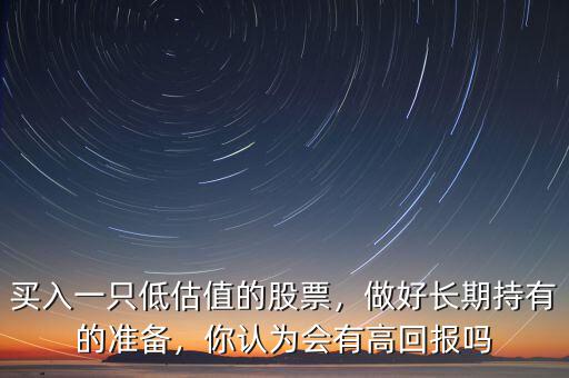 買入一只低估值的股票，做好長期持有的準(zhǔn)備，你認為會有高回報嗎