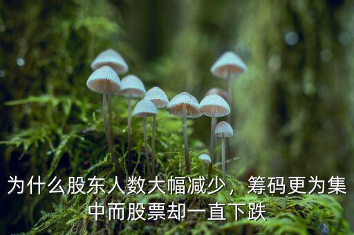 為什么股東人數(shù)大幅減少，籌碼更為集中而股票卻一直下跌