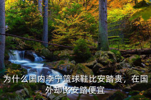 為什么國(guó)內(nèi)李寧籃球鞋比安踏貴，在國(guó)外卻比安踏便宜