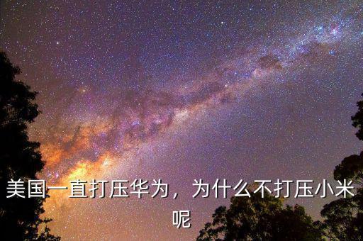 美國一直打壓華為，為什么不打壓小米呢