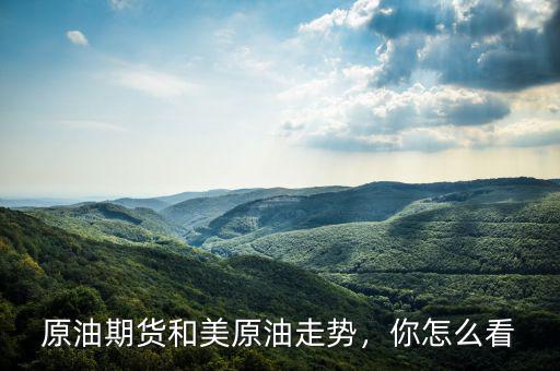 原油期貨和美原油走勢，你怎么看