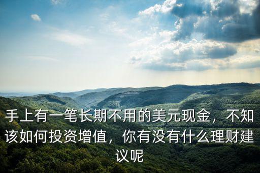 手上有一筆長(zhǎng)期不用的美元現(xiàn)金，不知該如何投資增值，你有沒有什么理財(cái)建議呢