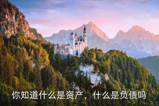 你知道什么是資產(chǎn)，什么是負(fù)債嗎