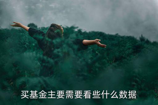 買(mǎi)基金主要需要看些什么數(shù)據(jù)