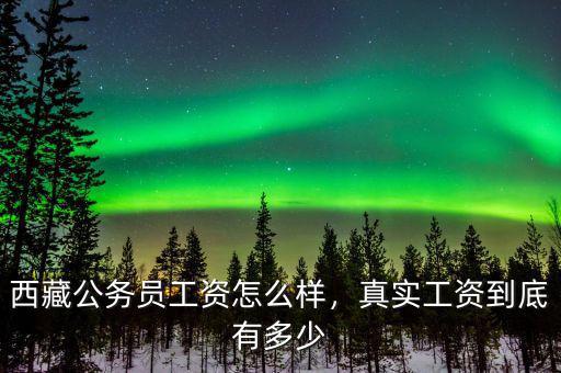 西藏公務(wù)員工資怎么樣，真實(shí)工資到底有多少