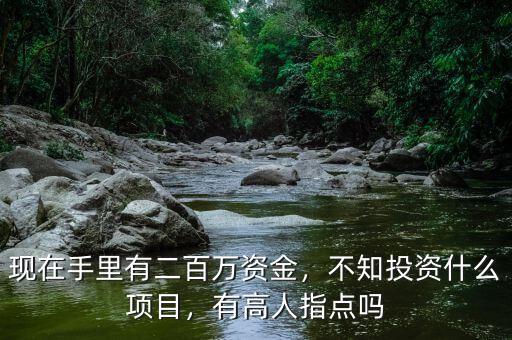 現(xiàn)在手里有二百萬資金，不知投資什么項目，有高人指點嗎