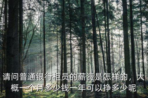 請問普通銀行柜員的薪資是怎樣的，大概一個月多少錢一年可以掙多少呢