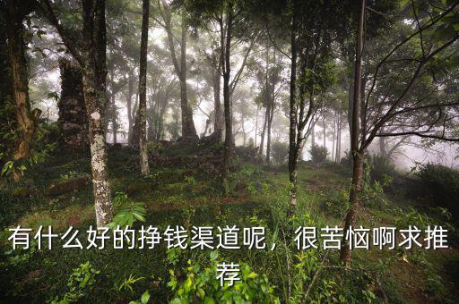 有什么好的掙錢(qián)渠道呢，很苦惱啊求推薦