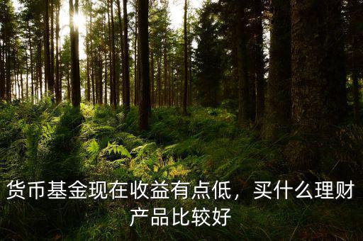貨幣基金現(xiàn)在收益有點(diǎn)低，買(mǎi)什么理財(cái)產(chǎn)品比較好