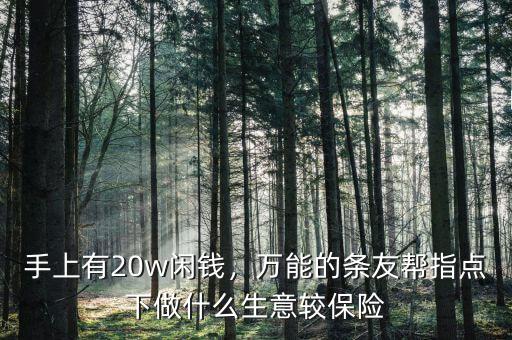 手上有20w閑錢，萬能的條友幫指點下做什么生意較保險