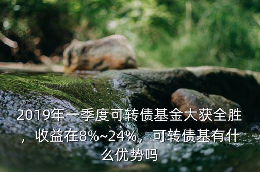 2019年一季度可轉(zhuǎn)債基金大獲全勝，收益在8%~24%，可轉(zhuǎn)債基有什么優(yōu)勢(shì)嗎