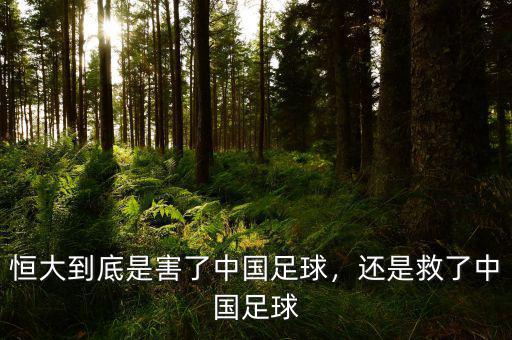 恒大到底是害了中國(guó)足球，還是救了中國(guó)足球