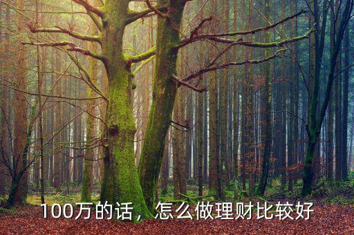 100萬的話，怎么做理財比較好
